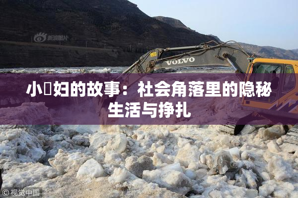 小婬妇的故事：社会角落里的隐秘生活与挣扎