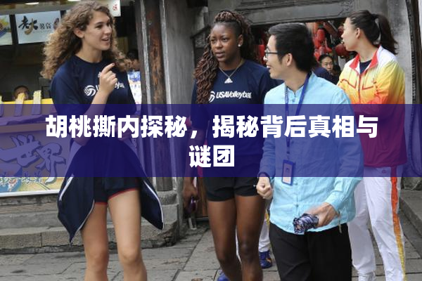 胡桃撕内探秘，揭秘背后真相与谜团