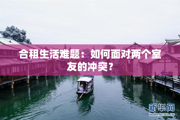 合租生活难题：如何面对两个室友的冲突？