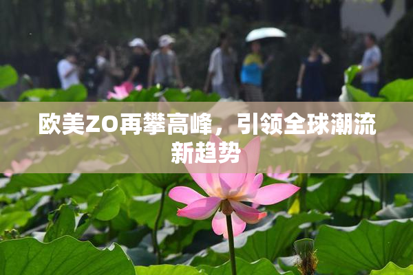 欧美ZO再攀高峰，引领全球潮流新趋势