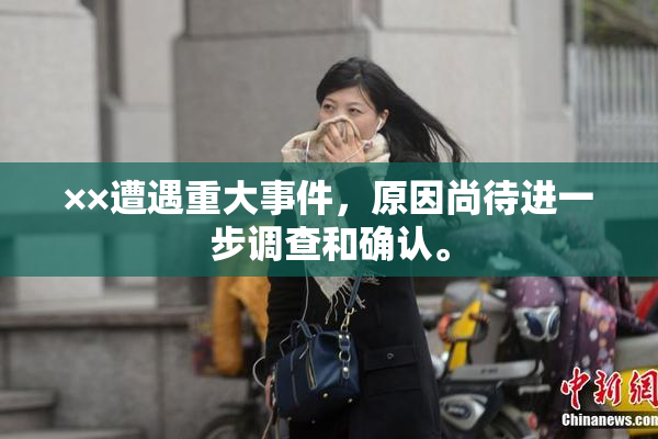 ××遭遇重大事件，原因尚待进一步调查和确认。