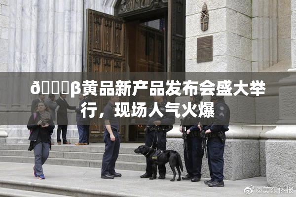 🔞β黄品新产品发布会盛大举行，现场人气火爆