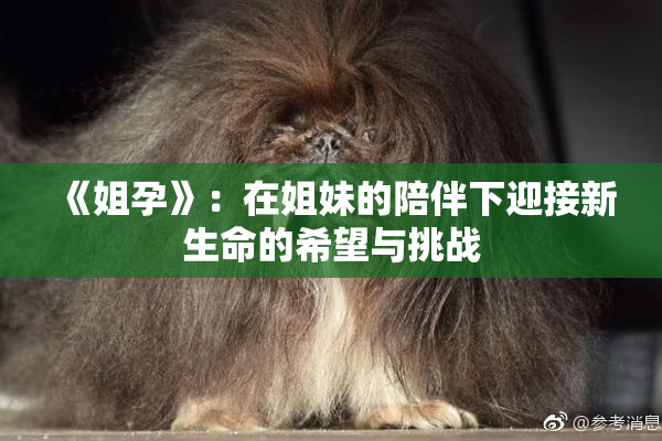 《姐孕》：在姐妹的陪伴下迎接新生命的希望与挑战