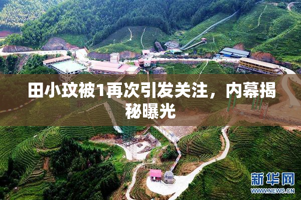 田小玟被1再次引发关注，内幕揭秘曝光
