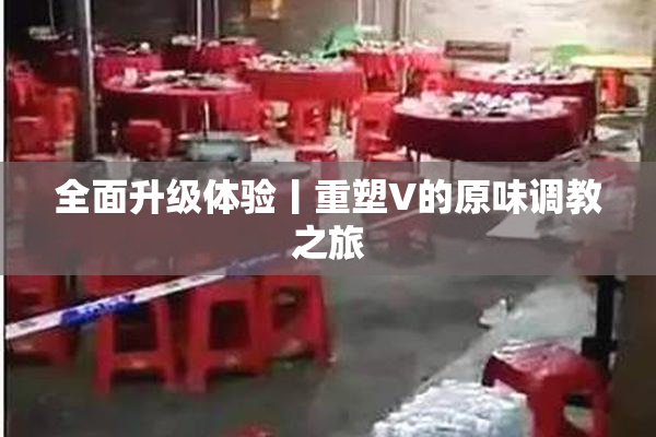 全面升级体验丨重塑V的原味调教之旅