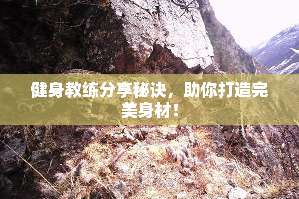 健身教练分享秘诀，助你打造完美身材！