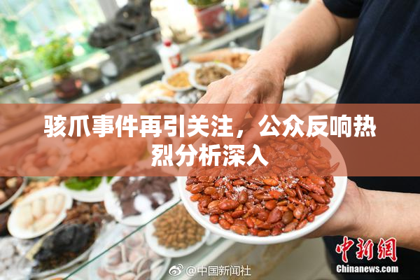 骇爪事件再引关注，公众反响热烈分析深入