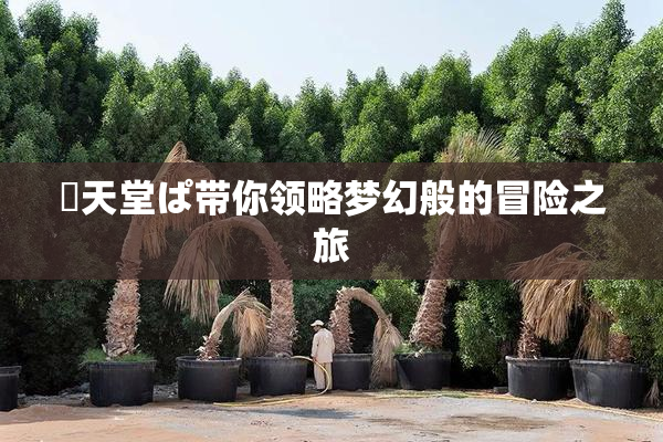妺天堂ぱ带你领略梦幻般的冒险之旅