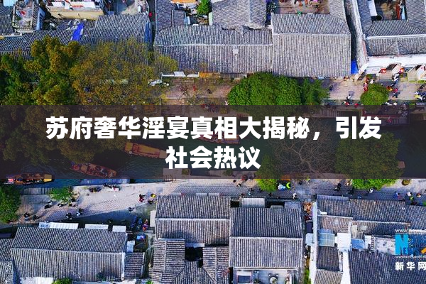 苏府奢华淫宴真相大揭秘，引发社会热议