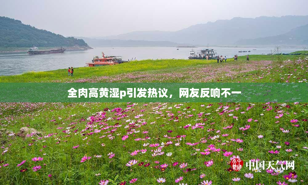 全肉高黄湿p引发热议，网友反响不一