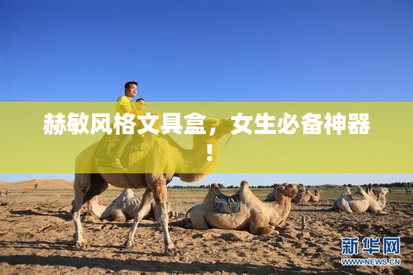 赫敏风格文具盒，女生必备神器！