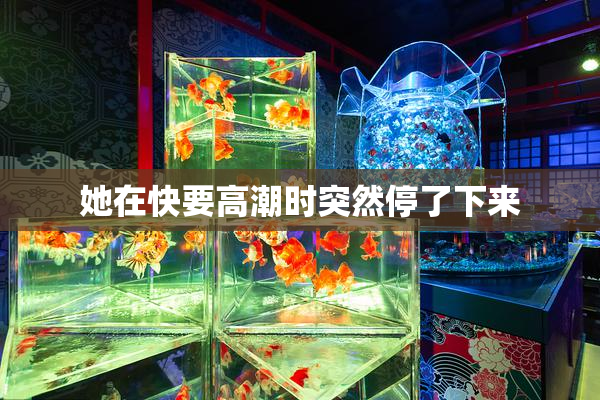 她在快要高潮时突然停了下来