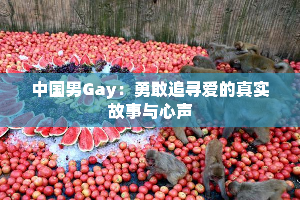 中国男Gay：勇敢追寻爱的真实故事与心声