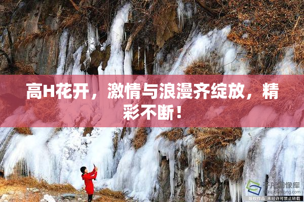 高H花开，激情与浪漫齐绽放，精彩不断！