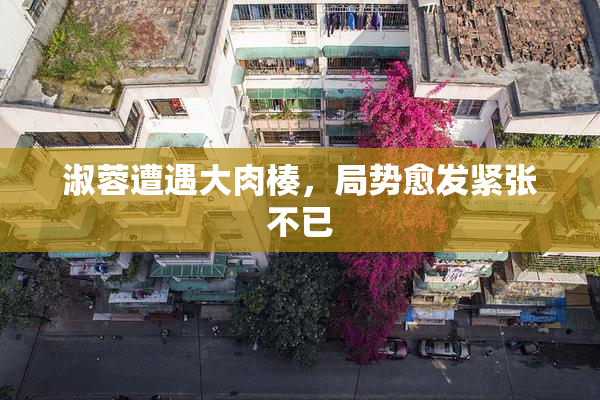 淑蓉遭遇大肉楱，局势愈发紧张不已