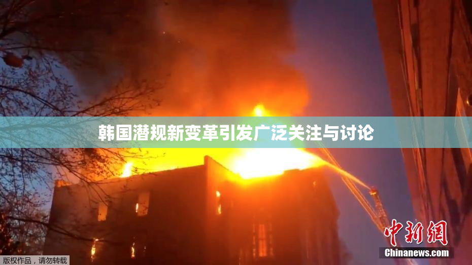 韩国潜规新变革引发广泛关注与讨论