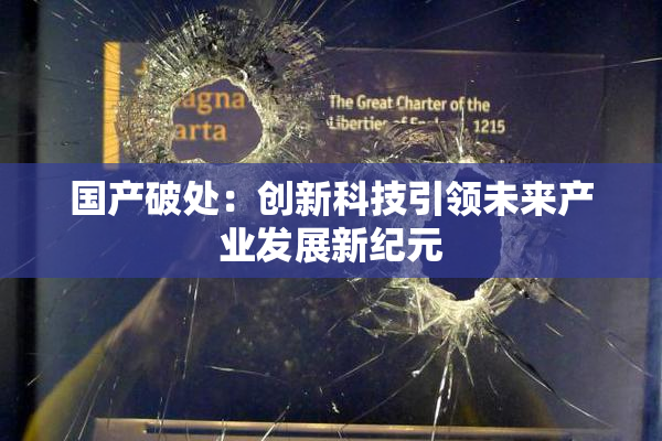 国产破处：创新科技引领未来产业发展新纪元