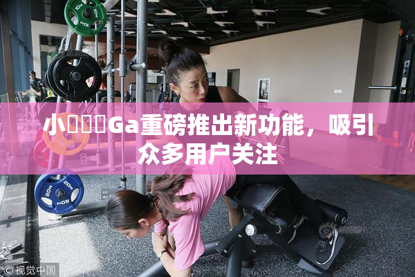 小藍視頻Ga重磅推出新功能，吸引众多用户关注