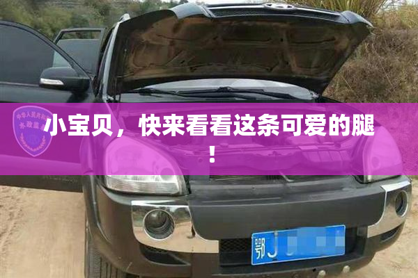 小宝贝，快来看看这条可爱的腿！