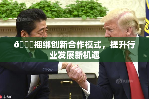 🔞捆绑创新合作模式，提升行业发展新机遇