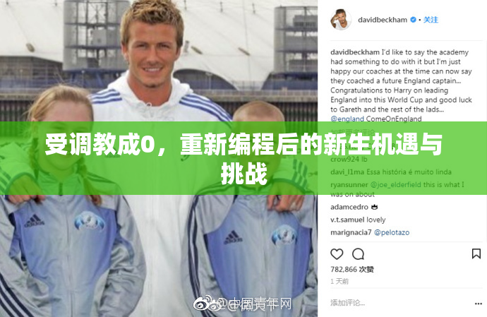 受调教成0，重新编程后的新生机遇与挑战