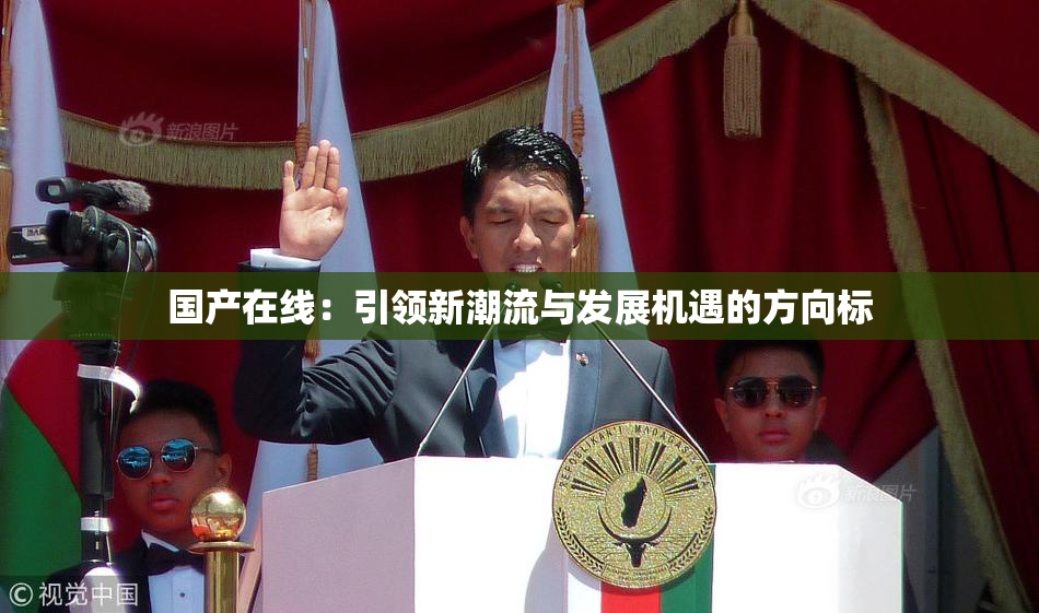 国产在线：引领新潮流与发展机遇的方向标