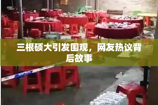 三根硕大引发围观，网友热议背后故事