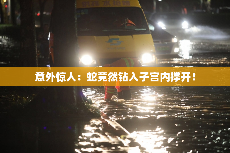 意外惊人：蛇竟然钻入子宫内撑开！
