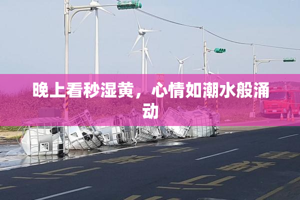 晚上看秒湿黄，心情如潮水般涌动