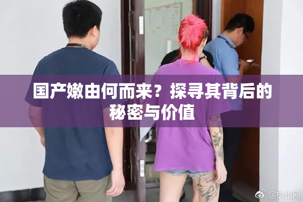 国产嫩由何而来？探寻其背后的秘密与价值