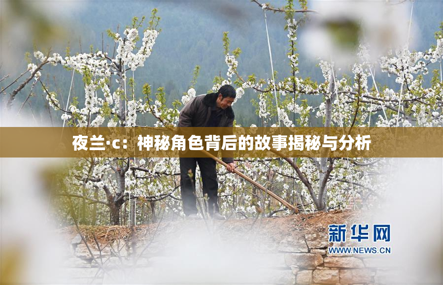 夜兰·c：神秘角色背后的故事揭秘与分析
