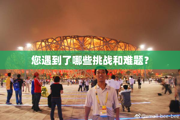 您遇到了哪些挑战和难题？