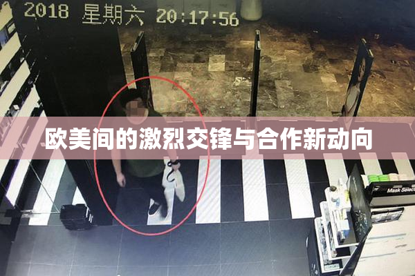 欧美间的激烈交锋与合作新动向