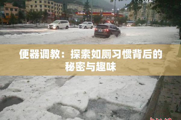便器调教：探索如厕习惯背后的秘密与趣味