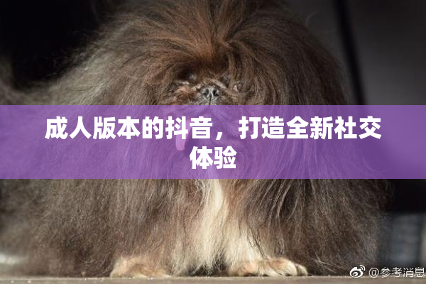 成人版本的抖音，打造全新社交体验