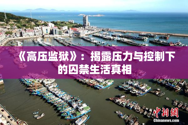 《高压监狱》：揭露压力与控制下的囚禁生活真相