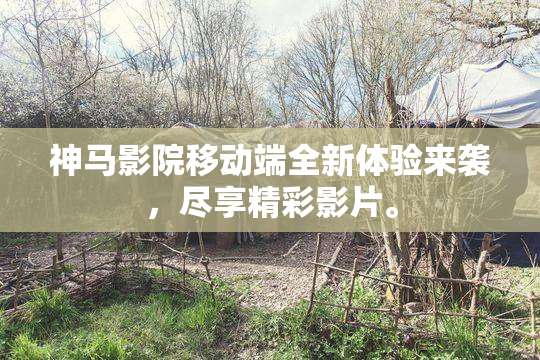 神马影院移动端全新体验来袭，尽享精彩影片。