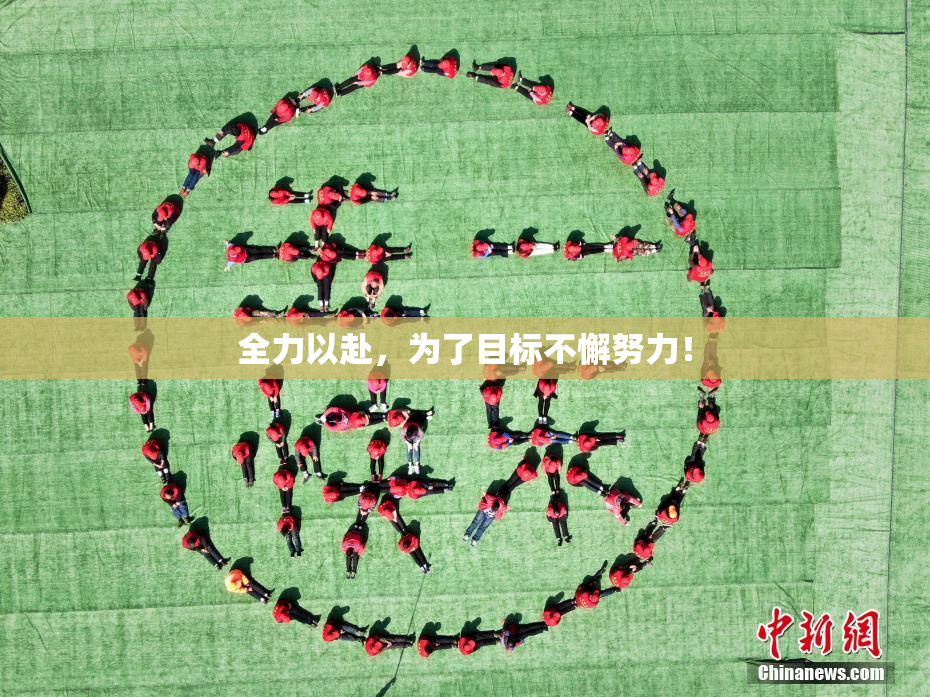 全力以赴，为了目标不懈努力！
