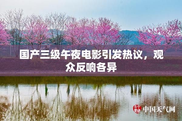 国产三级午夜电影引发热议，观众反响各异