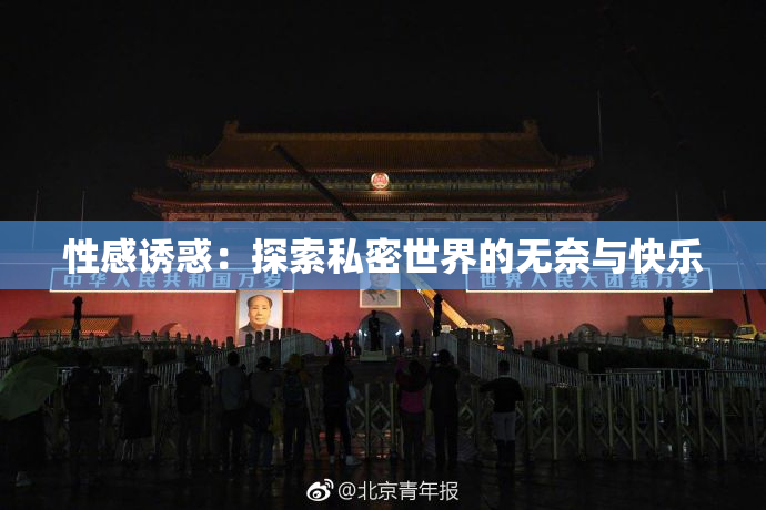 性感诱惑：探索私密世界的无奈与快乐