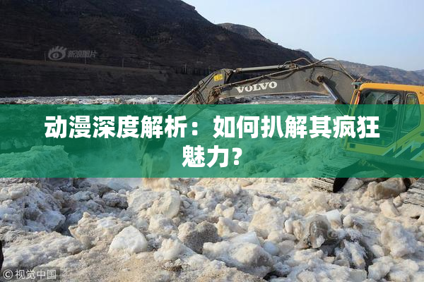 动漫深度解析：如何扒解其疯狂魅力？