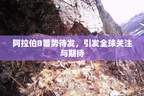 阿拉伯B蓄势待发，引发全球关注与期待
