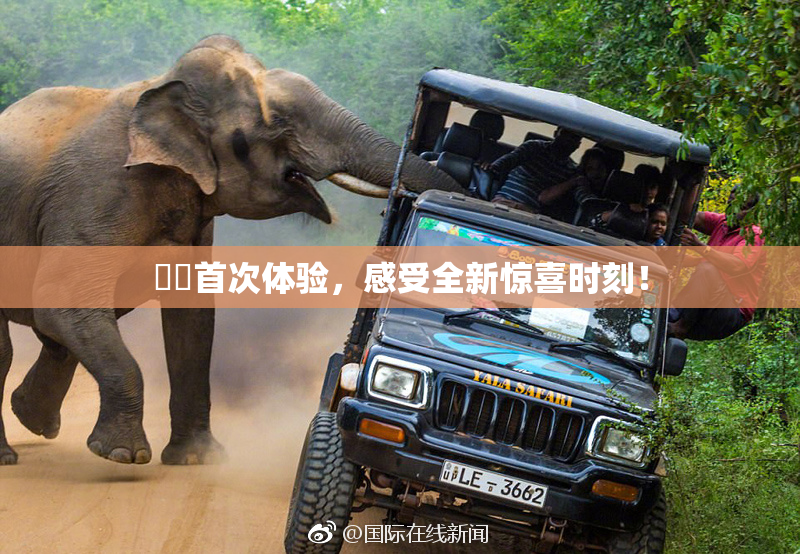 妺妺首次体验，感受全新惊喜时刻！