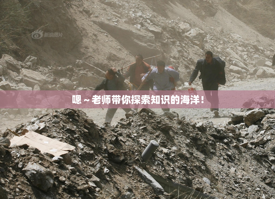 嗯～老师带你探索知识的海洋！