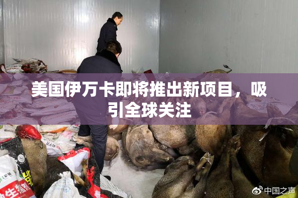 美国伊万卡即将推出新项目，吸引全球关注