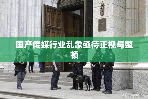 国产传媒行业乱象亟待正视与整顿