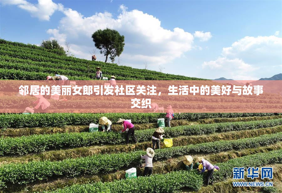 邻居的美丽女郎引发社区关注，生活中的美好与故事交织