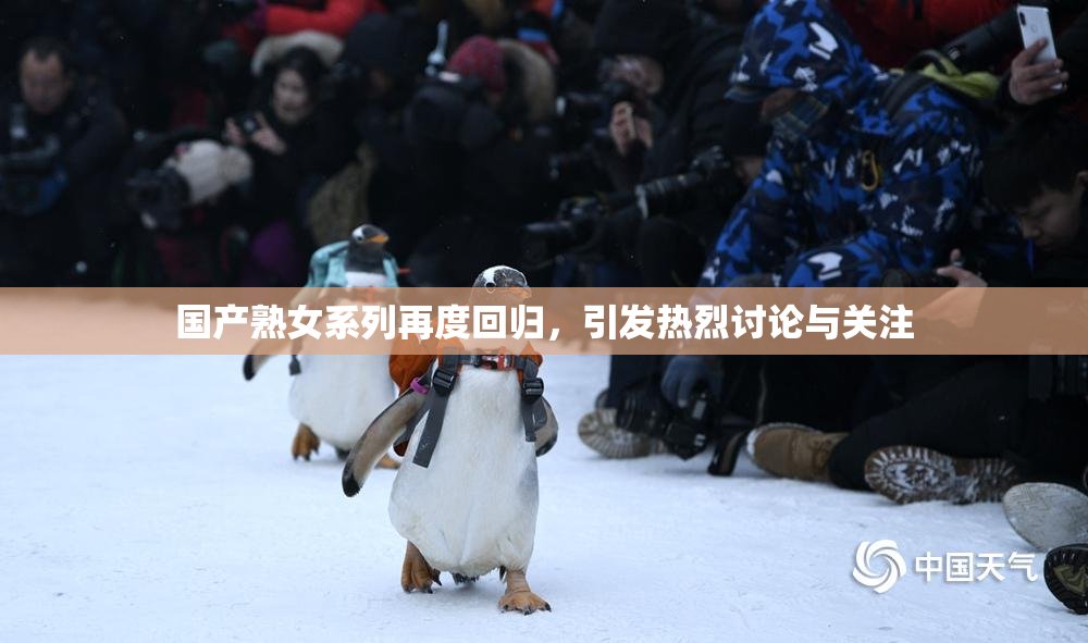 国产熟女系列再度回归，引发热烈讨论与关注