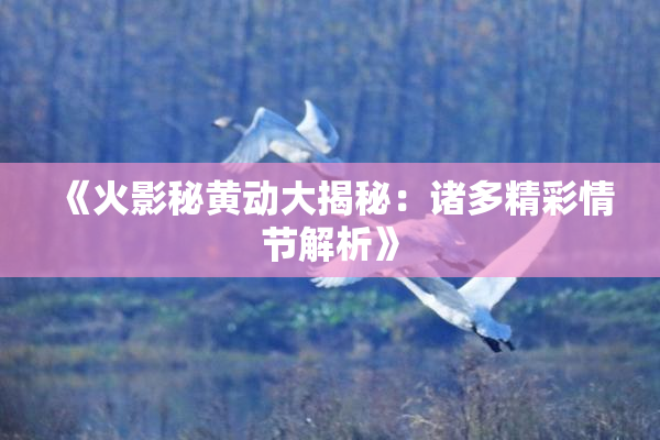《火影秘黄动大揭秘：诸多精彩情节解析》