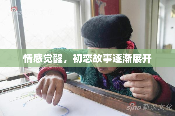 情感觉醒，初恋故事逐渐展开